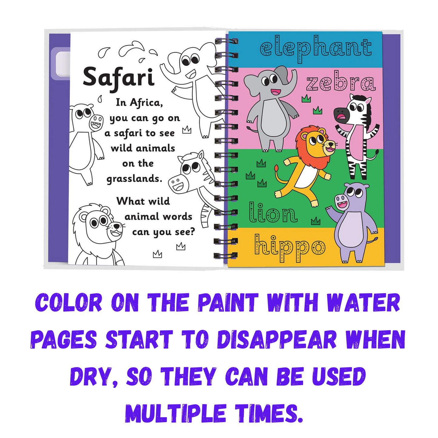 Animal Friends First Words Paint with Water