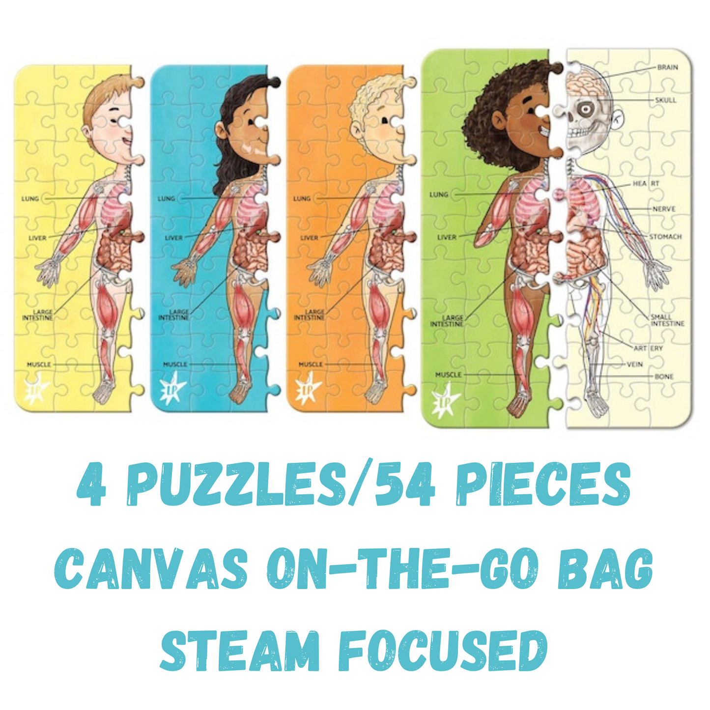 A Piece A Part Anatomy Jigsaw Puzzle