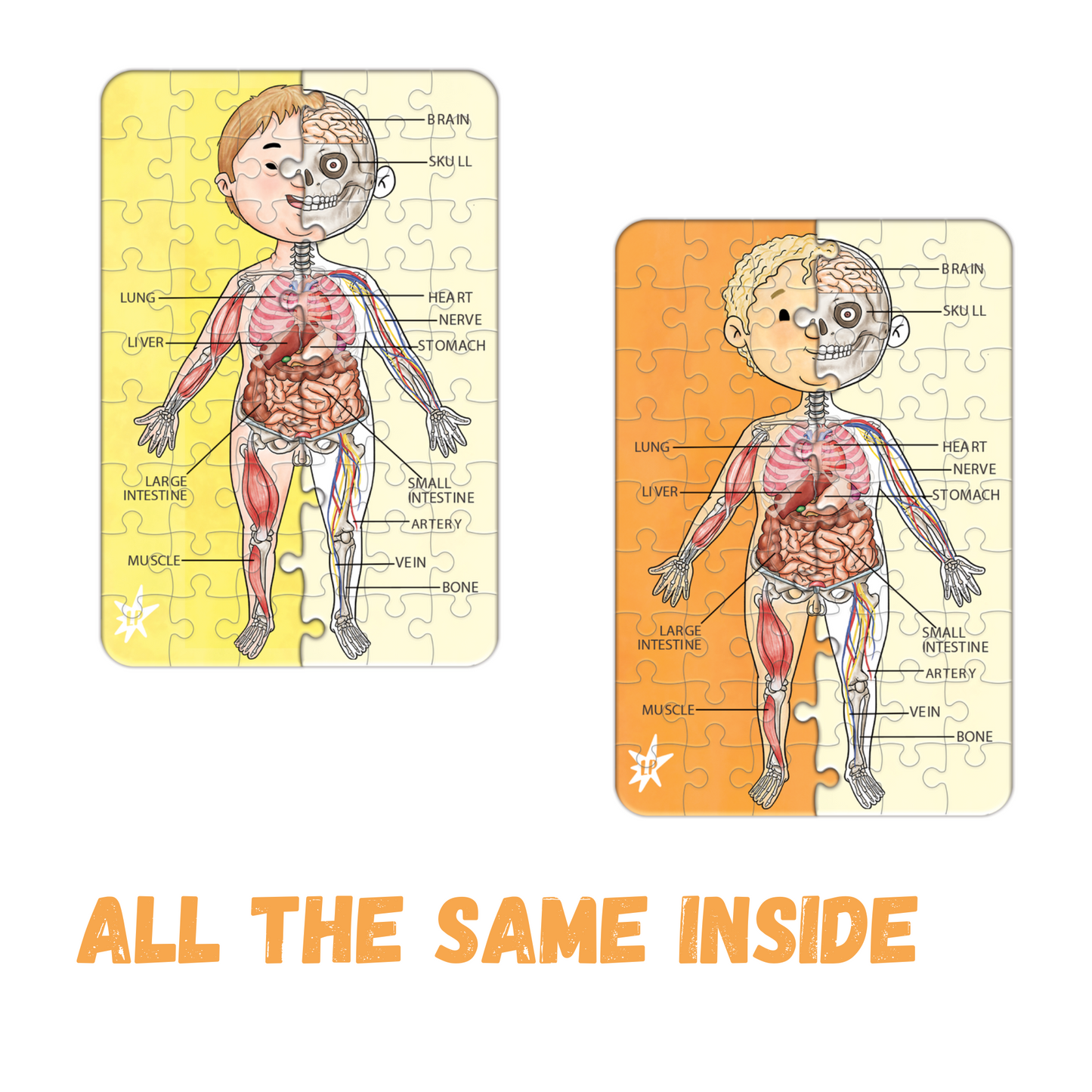 A Piece A Part Anatomy Jigsaw Puzzle