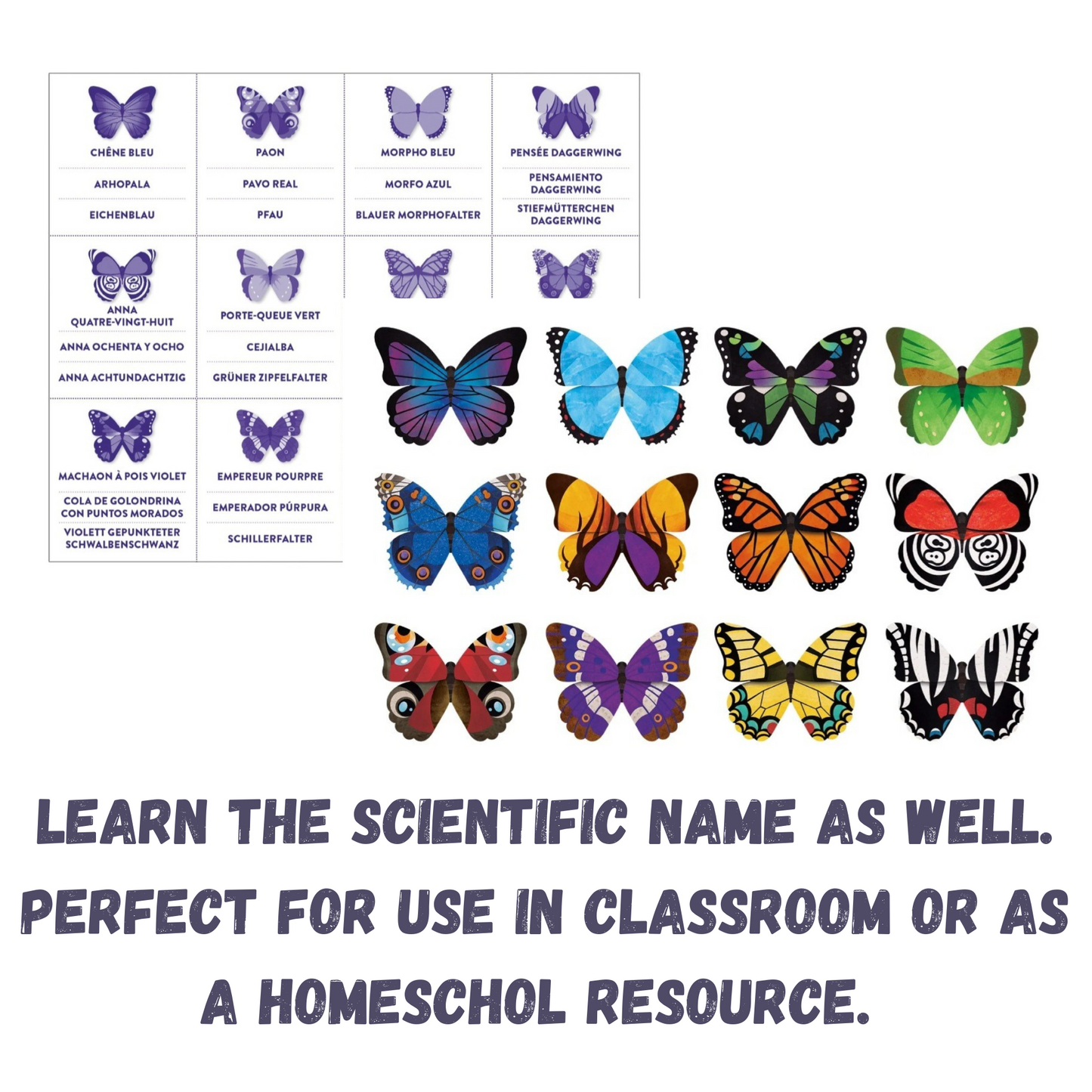 Butterflies Shaped Memory Match Game